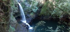 a waterfall in the middle of a forest with blue water and lush green trees surrounding it