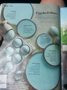 an article about eggshells is shown in the magazine's page, with information about them