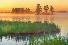 the sun is setting over a lake with grass and trees in the foreground on a foggy day