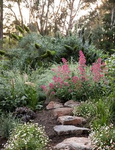 a garden with rocks and flowers in the foreground, surrounded by greenery on both sides