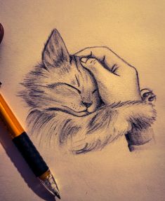 a pencil drawing of a sleeping cat with its head on the hand and eyes closed