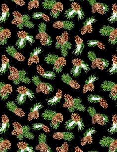 a black background with pine cones and needles