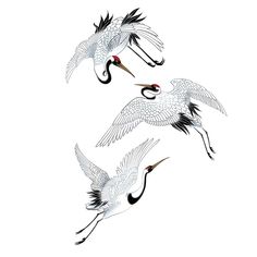 three white cranes flying in the air with their wings spread out and beaks open