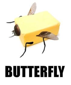 two bees sitting on top of a piece of butter next to the words, butterfly