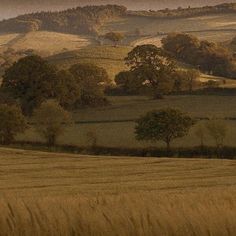 an open field with trees and hills in the background