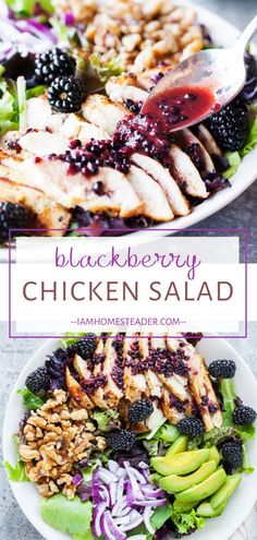 a white plate topped with chicken salad and blackberries