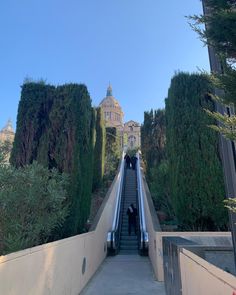 an escalator going up the side of a building with trees on both sides