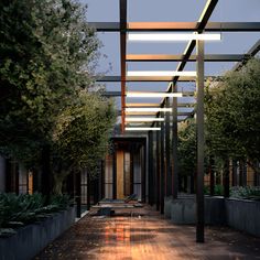 an empty courtyard with benches and trees in the background