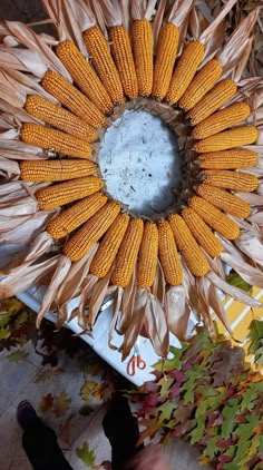 corn on the cob arranged in a circle surrounded by leaves and other autumn foliage