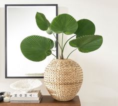 a plant in a vase on a table next to a mirror and some other items