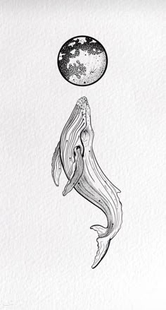 a drawing of a whale with the moon above it