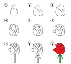 Helppo Ruusu piirustusopas! Opettele piirtämään Ruusu askel askeleelta Piirustus.com
#RuusuPiirustusIdeoita #PiirustusIdeoita #Ruusu Draw A Rose, Hipster Drawings, Beginner Sketches, Drawings For Boyfriend, Easy Drawings For Beginners, Flower Drawing Tutorials, Easy Drawing Tutorial, Easy Love Drawings