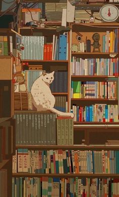 a cat sitting on top of a bookshelf filled with lots of bookcases