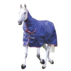 a white horse wearing a blue cover