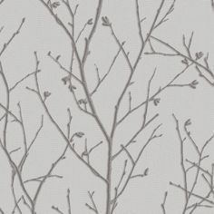 the branches of a tree with no leaves are shown against a gray wallpaper background