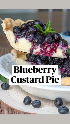 a slice of blueberry pie on a white plate