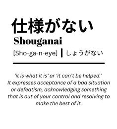 an advertisement for shoganai, the japanese language