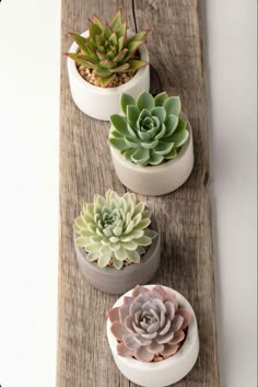 four succulents are sitting on a piece of wood