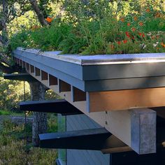 an elevated garden bed with flowers and plants growing on it