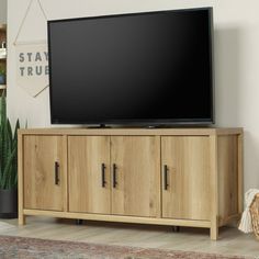 a large flat screen tv sitting on top of a wooden entertainment center next to a potted plant