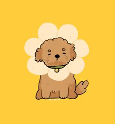 a brown dog sitting on top of a yellow background with a flower in its mouth