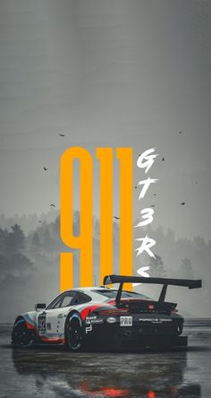 a poster with an image of a race car in the rain and birds flying overhead