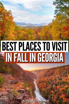 the best places to visit in fall in georgia