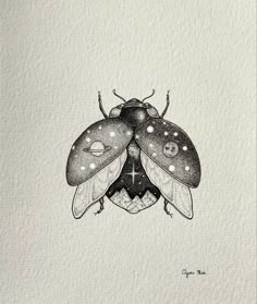 a black and white drawing of a bug