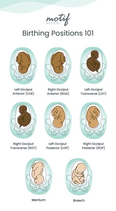 the stages of birth positions for babies