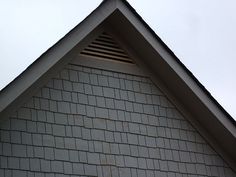 a bird is perched on the roof of a house