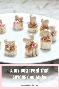 there is a white plate with small treats on it and the words, a diy dog treat that anyone can make