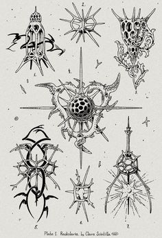 an old black and white drawing of different types of tattoos