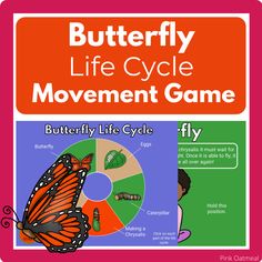 the butterfly life cycle movement game