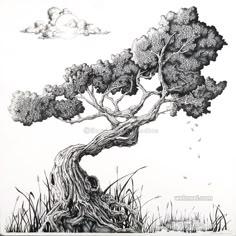 an ink drawing of a tree in the grass