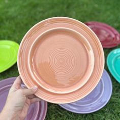 a person holding a plate in front of several plates on the grass with their hands