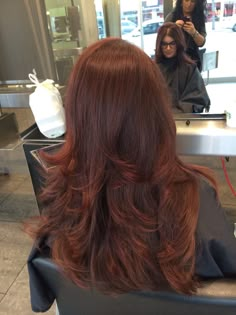 Raspberry Truffle Hair Color, Truffle Raspberry Hair, Cherry Auburn Hair Color, Brownish Reddish Hair Color, Haircuts For Fall 2023, Fall Hair Inspo 2022, Raspberry Brown Hair, Redish Brownish Hair, Alburn Hair