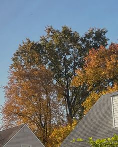 two houses with trees in the background