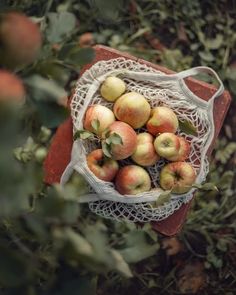 a bag full of apples sitting on top of a wooden table