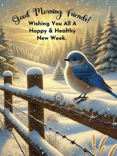 a blue bird sitting on top of a fence in the snow with words good morning friends wishing you all a happy and healthy new week