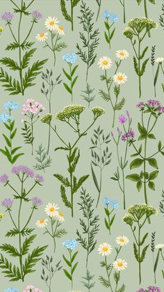 an image of wildflowers and daisies on a light green background seamless wallpaper