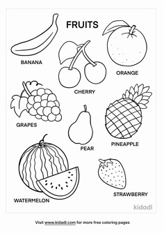 fruits coloring page for kids and adults