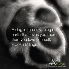 a dog is the only thing on earth that loves you more than you love yourself