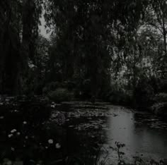 a pond with lily pads in the middle of it and trees overhanging from the water