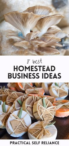 mushrooms with the words best homestead business ideas on them