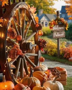 pumpkins and gourds in front of a wooden wheel