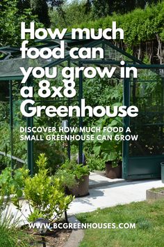 a green house with the words how much food can you grow in a 8x8 greenhouse