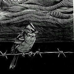 a black and white drawing of a bird sitting on a barbed wire with the night sky in the background