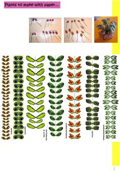 the plant life cycle is shown in this poster