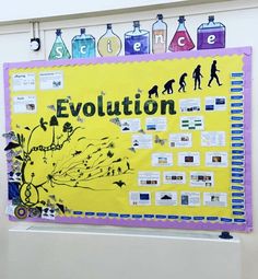 a bulletin board with the words science and evolution written on it in front of a white wall