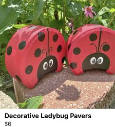 two red ladybug stones sitting on top of a rock